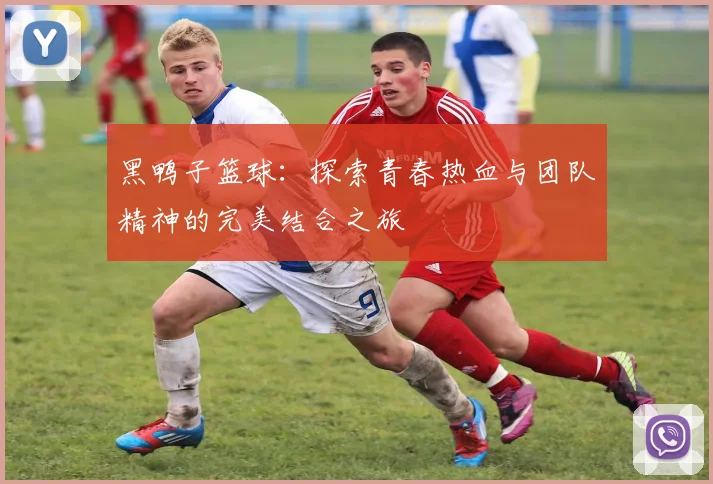 黑鸭子篮球：探索青春热血与团队精神的完美结合之旅