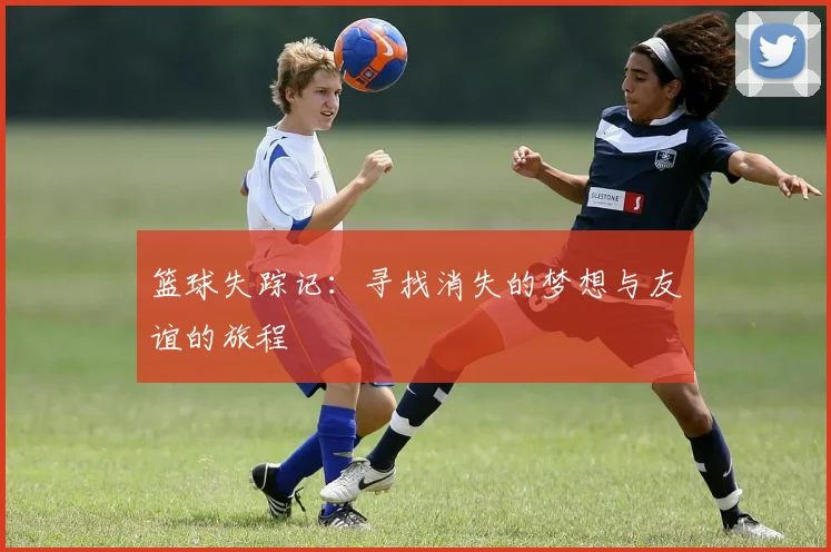 篮球失踪记：寻找消失的梦想与友谊的旅程