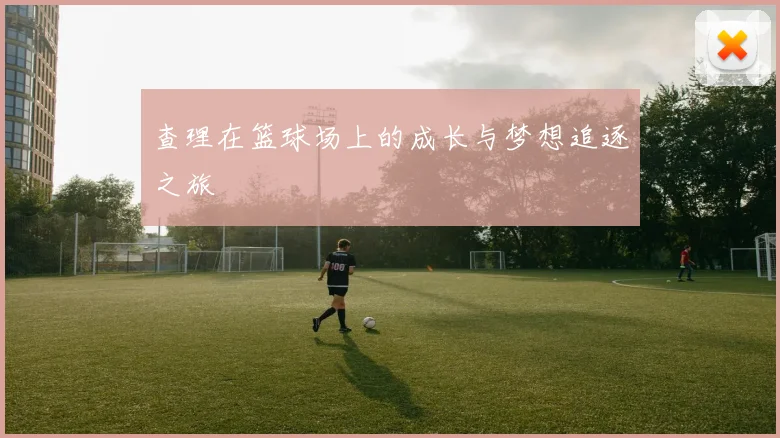 查理在篮球场上的成长与梦想追逐之旅