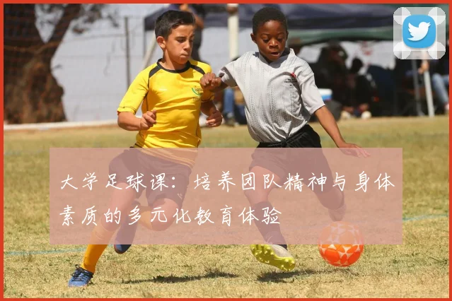大学足球课：培养团队精神与身体素质的多元化教育体验