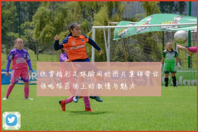 欣赏精彩足球瞬间的图片集锦带你领略绿茵场上的激情与魅力