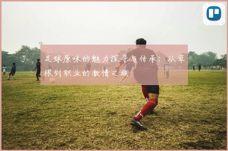 足球原味的魅力探寻与传承：从草根到职业的激情之旅
