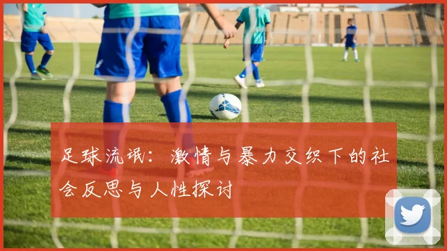 足球流氓：激情与暴力交织下的社会反思与人性探讨