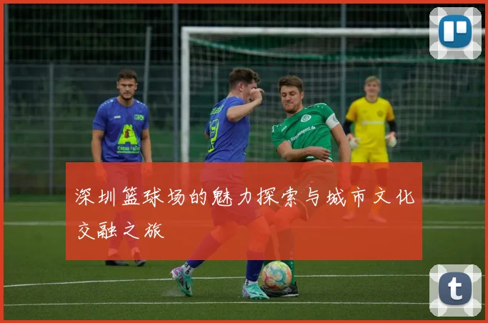 深圳篮球场的魅力探索与城市文化交融之旅